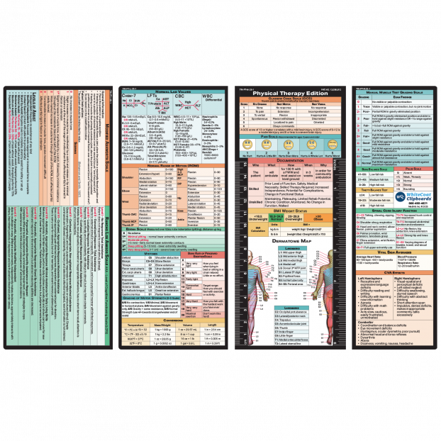 Trifold Physical Therapy Adhesive Reference Label
